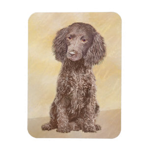 Ímã American Water Spaniel Painting - Arte Original de