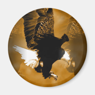 Imã Americano calvo Eagle em vôo
