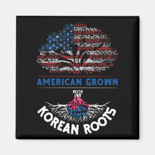 Imã Americano Cresceu Raízes Coreanas EUA Bandeira Ven