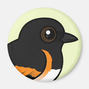 Imã Americano Redstart