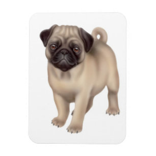 Ímã amigável do prêmio do cão do Pug
