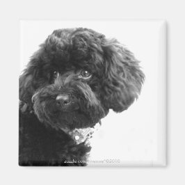 Imã Amigo Adorável