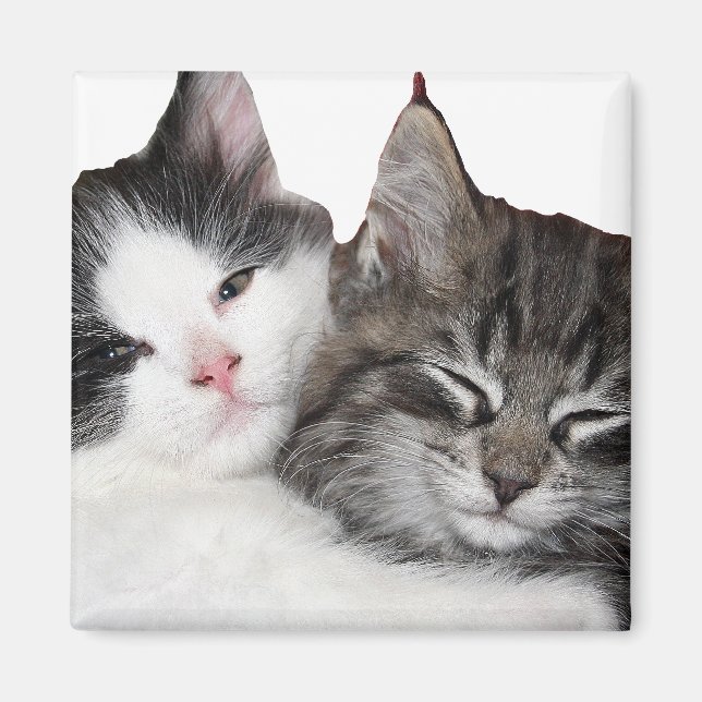 Imã Amigos (Frente)