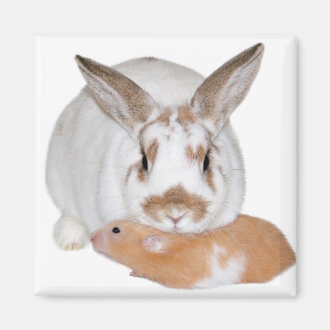 Imã Amigos (Frente)