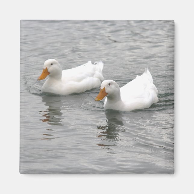 Imã Amigos (Frente)