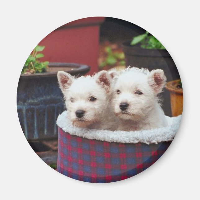 Imã Amigos da Puppy (Frente)