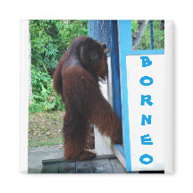 Amigos da vizinhança Knock Borneo