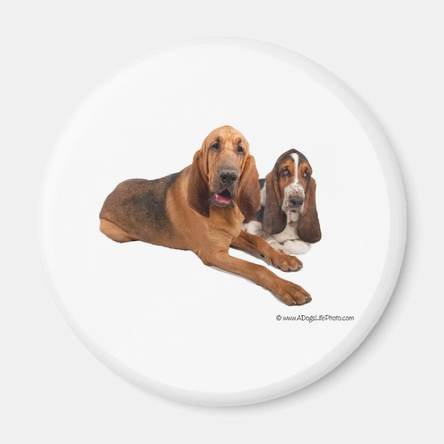 Imã Amigos de Basset e Bloodhound (Frente)