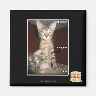 Imã Amigos do idiota