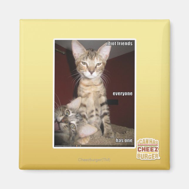 Imã Amigos Idiotas (Frente)