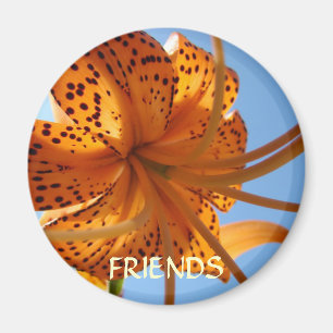 Imã Amigos Ímã Amizade Laranja Flor de Lírio Tigre