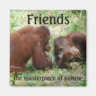 Imã Amigos - ímã quadrado