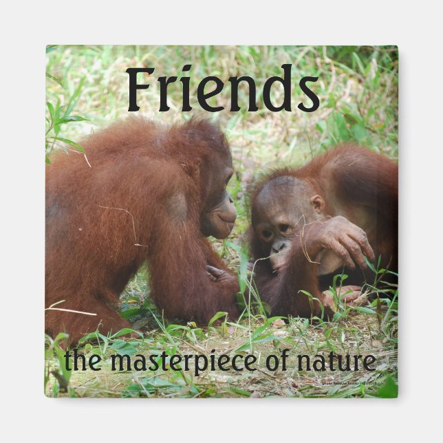 Imã Amigos - ímã quadrado (Frente)