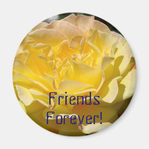 Imã Amigos para Sempre! ímã presente Flor Rosa Amarela
