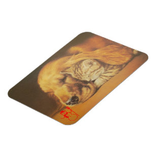 Ímã Amigos são amigos