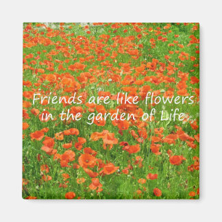 Imã Amigos São Como Flores
