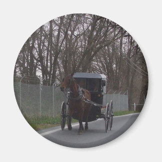Imã Amish Buggy