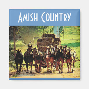Imã Amish Country Magnet