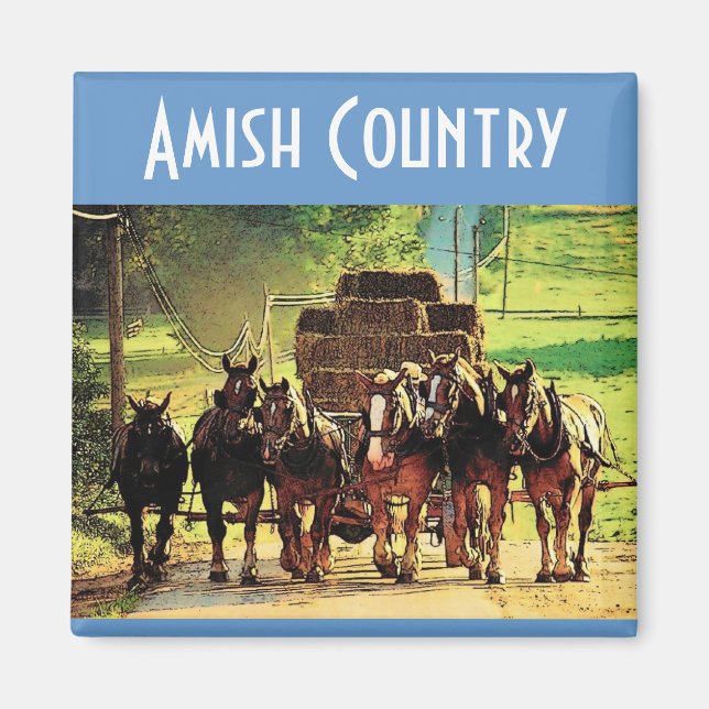 Imã Amish Country Magnet (Frente)