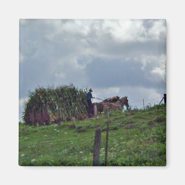 Imã Amish Harvest (Frente)