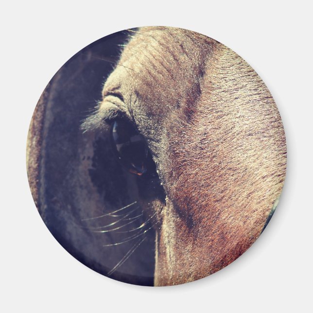 Imã Amish Horse (Frente)