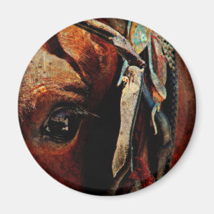 Imã Amish Horse Eye