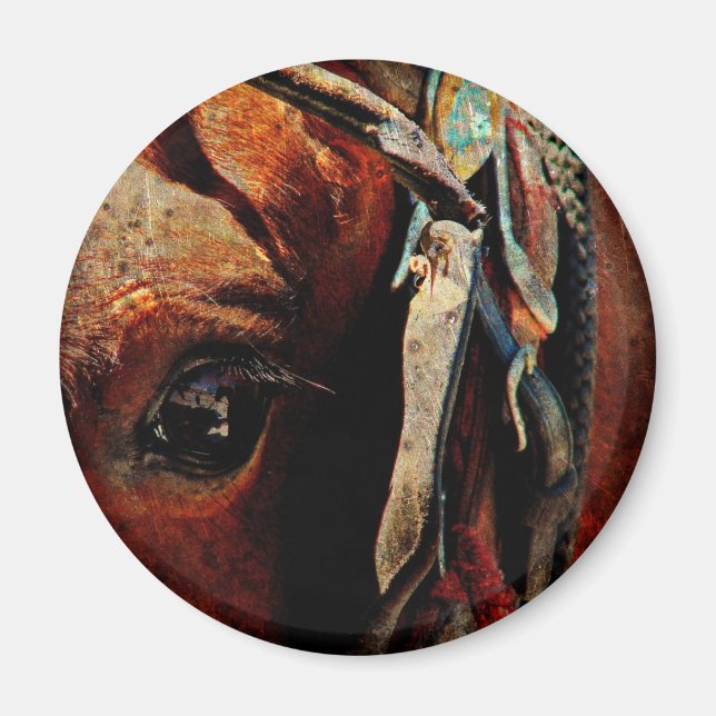 Imã Amish Horse Eye (Frente)