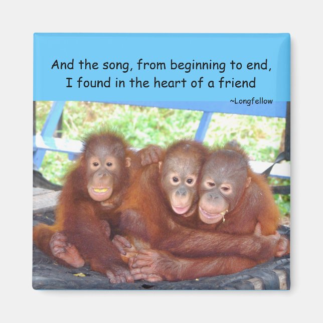 Imã Amizade animal 3 dos bebês não uma multidão (Frente)