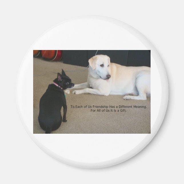 Imã Amizade de Cães (Frente)