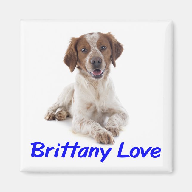 Imã Amo cachorro Brittany Spaniel  (Frente)