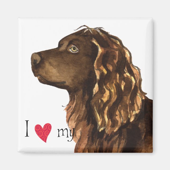 Imã Amo o meu Boykin Spaniel (Frente)