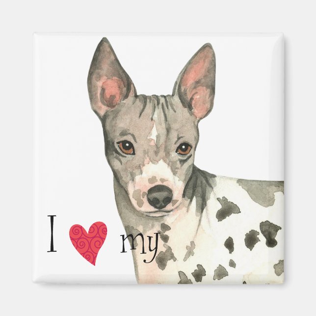 Imã Amo o meu Terrier americano sem cabelos (Frente)