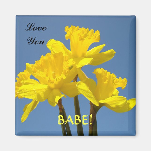 Imã Amo Você BABE! ímã Amarelo Narcisos Primavera (Frente)