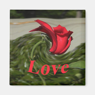 Imã Amor........