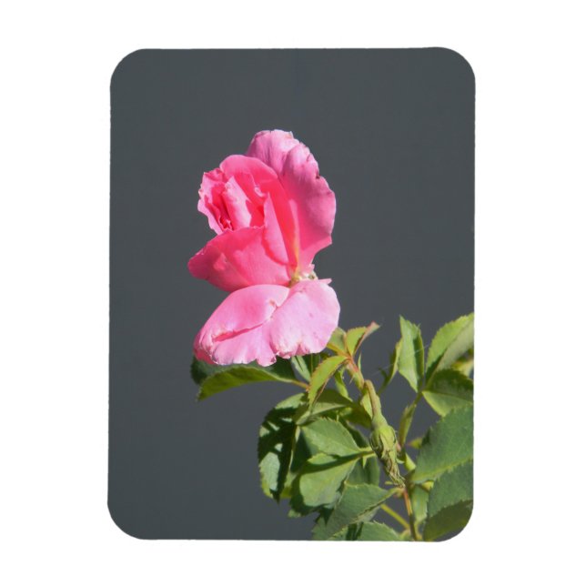 Ímã Amor à Hora de Verão... (Vertical)