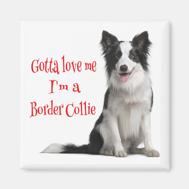 Imã Amor Borda Preta e Branca Collie Puppy Red Magnet (Frente)