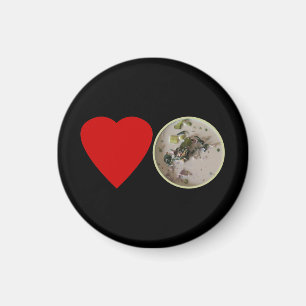 Imã Amor Curry Verde Tailandês... Comida na rua Tail