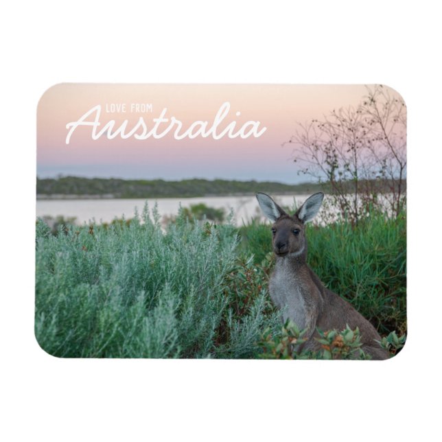 Ímã Amor Da Austrália Kangaroo Sunset Lake (Horizontal)