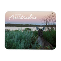 Amor Da Austrália Kangaroo Sunset Lake Magnet