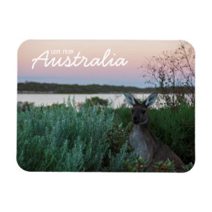 Ímã Amor Da Austrália Kangaroo Sunset Lake Magnet