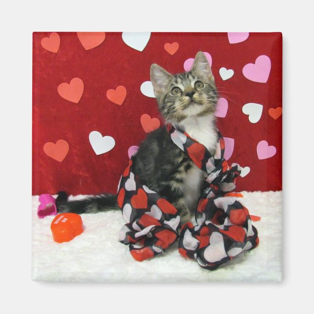 Imã Amor de Bandit - Magneta de Gato/Gato para Namorad (Frente)