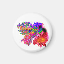 amor de Beija-flor