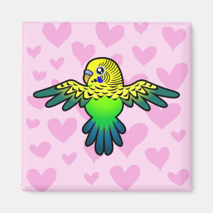 Imã Amor de Budgie