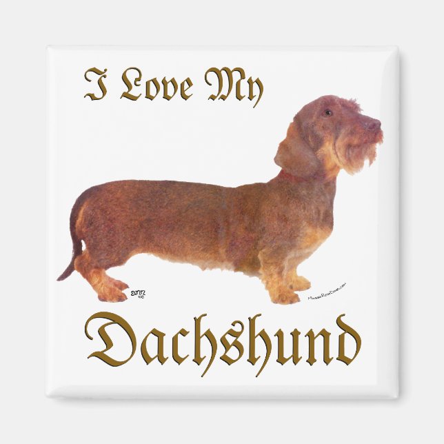 Imã Amor de Dachshund (Frente)