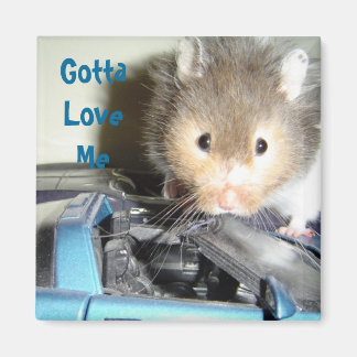 Imã Amor de Hamster