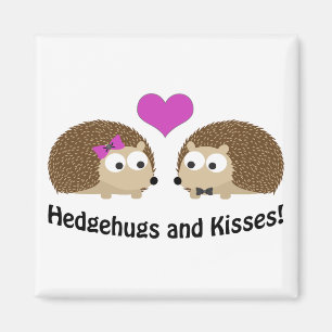 Imã Amor do ouriço de Hedgehugs e de beijos