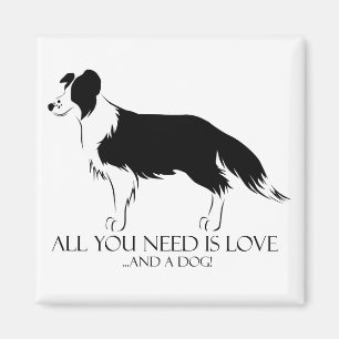 Imã Amor E Cão