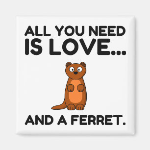 IMÃ AMOR E FERRETO