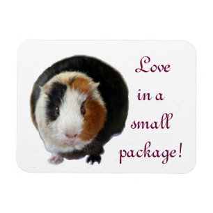 Ímã Amor Em Um Pequeno Pacote