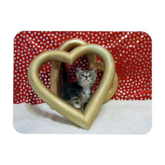 Ímã Amor, Lilo - Gato Cardíaco / Gatinho (Horizontal)